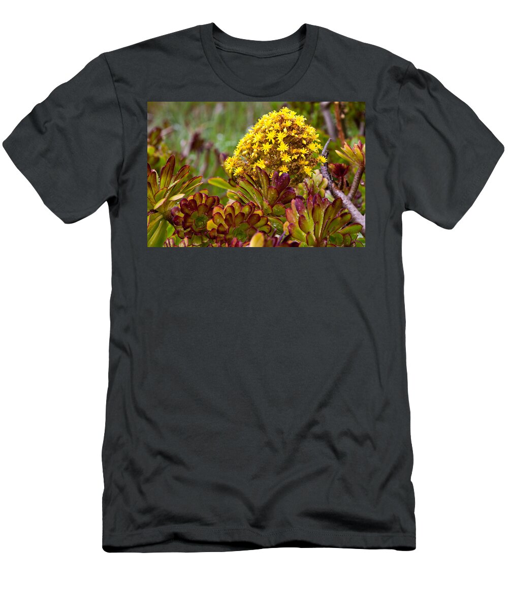 Yellow Flower T-Shirt featuring the photograph Petal Dome by Melinda Ledsome