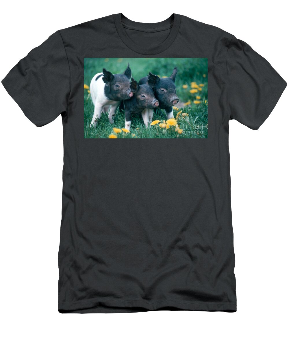 Nature T-Shirt featuring the photograph Piglets by Alan and Sandy Carey