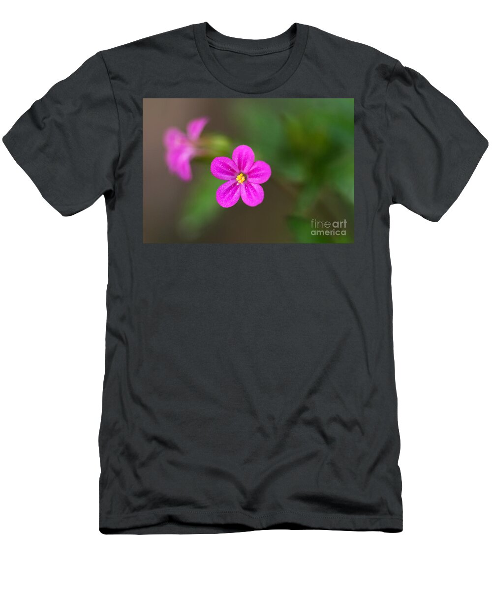 Flower T-Shirt featuring the photograph Pink and yellow flowers with green blurry background by Jaroslaw Blaminsky