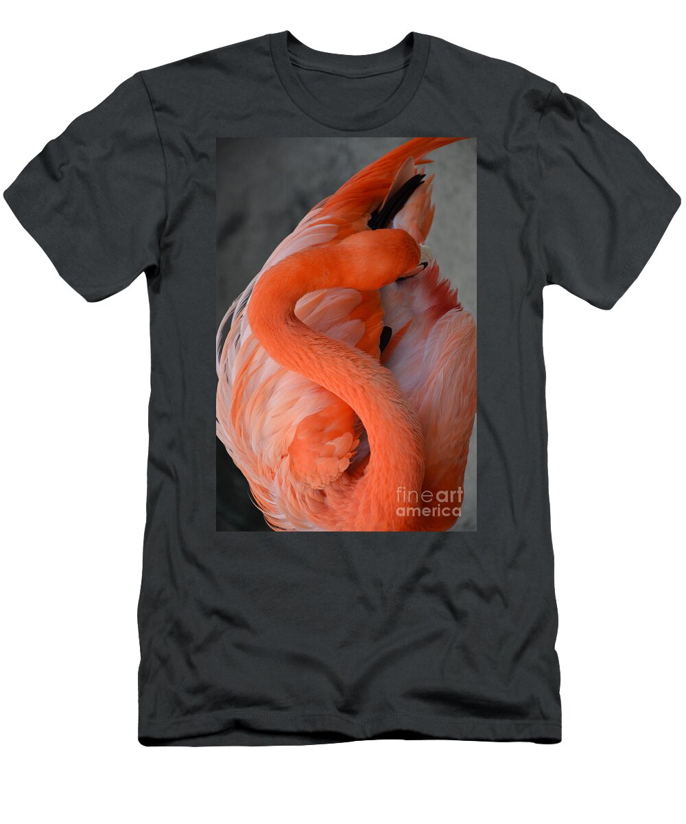 Pink Flamingo T-Shirt featuring the photograph Pink Flamingo by Robert Meanor