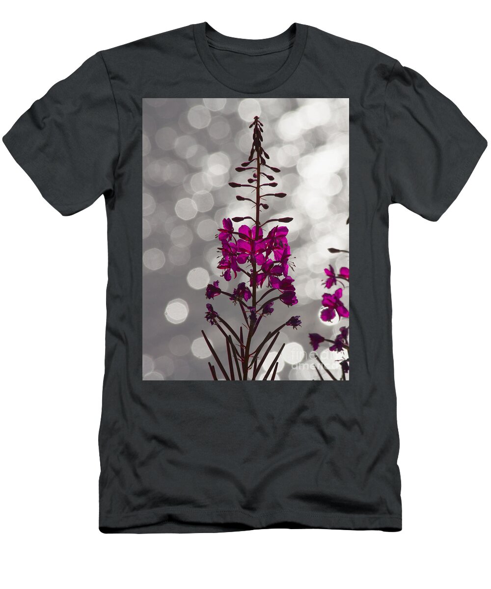 Fireweed T-Shirt featuring the photograph Pink by Heiko Koehrer-Wagner