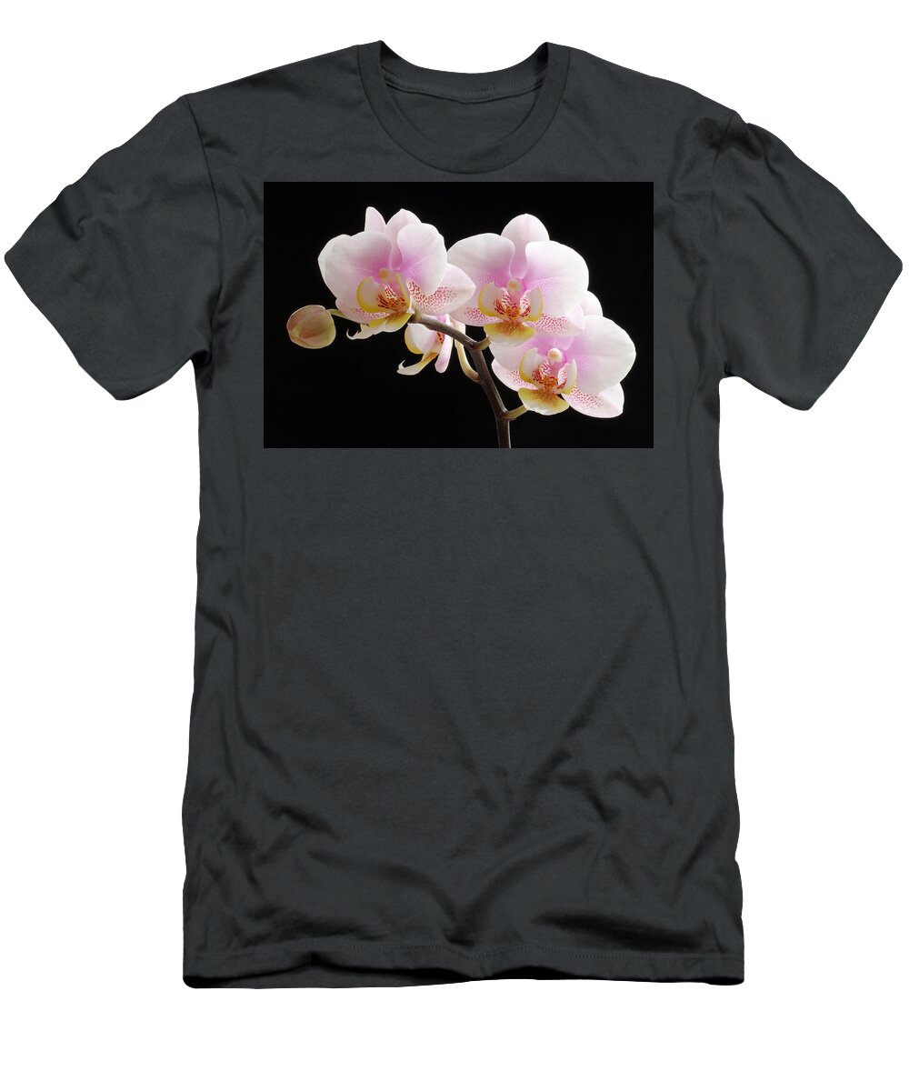 Orchid T-Shirt featuring the photograph Pink Sensations by Juergen Roth