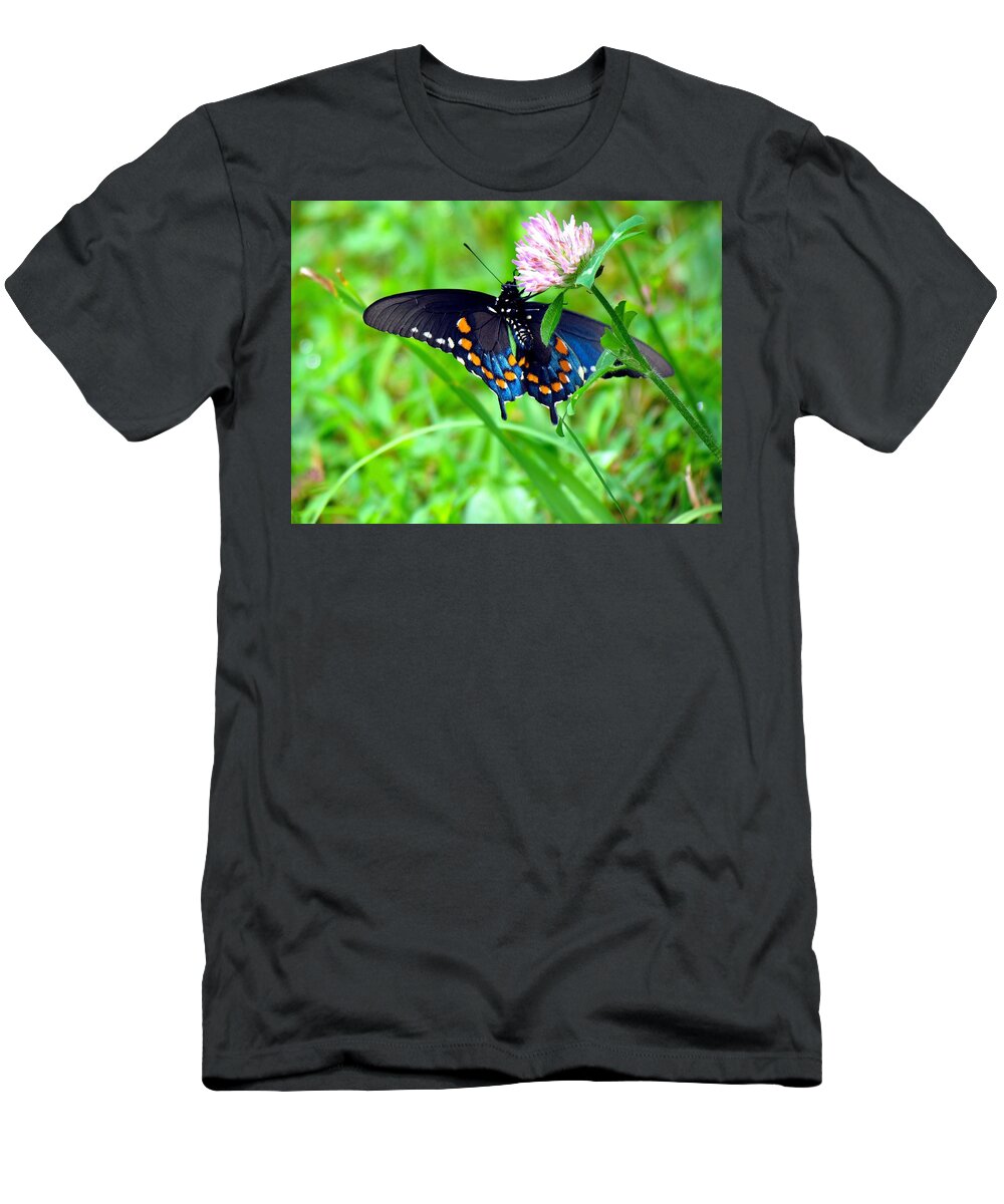 Carol R Montoya T-Shirt featuring the photograph Pipevine Swallowtail Hanging On by Carol Montoya
