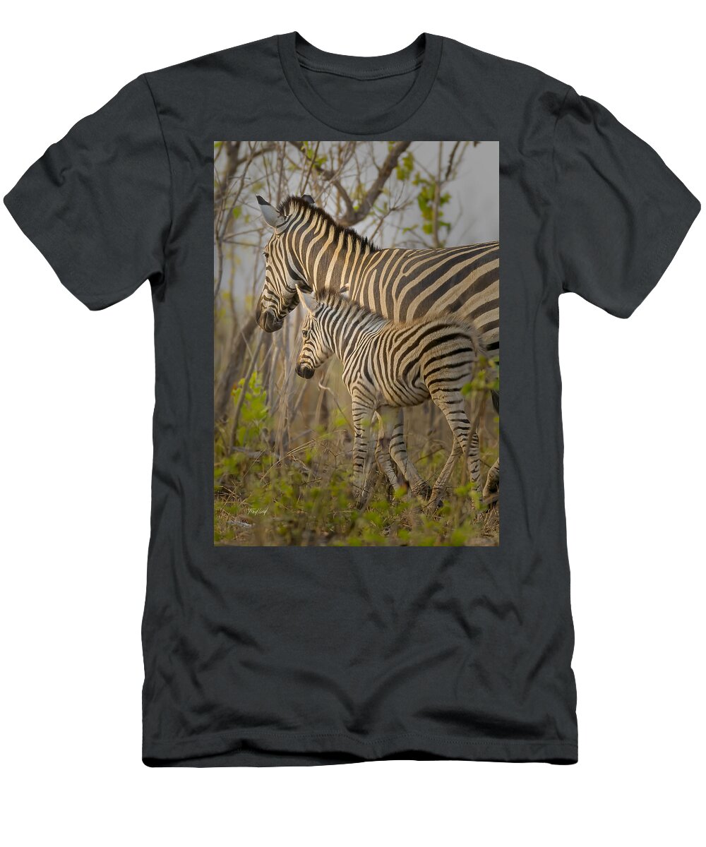 Horse T-Shirt featuring the photograph Plains Zebra Mare and Foal by Fred J Lord