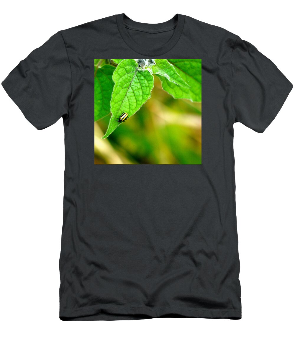 Bettle T-Shirt featuring the photograph Poha Berry Beetle by Lehua Pekelo-Stearns