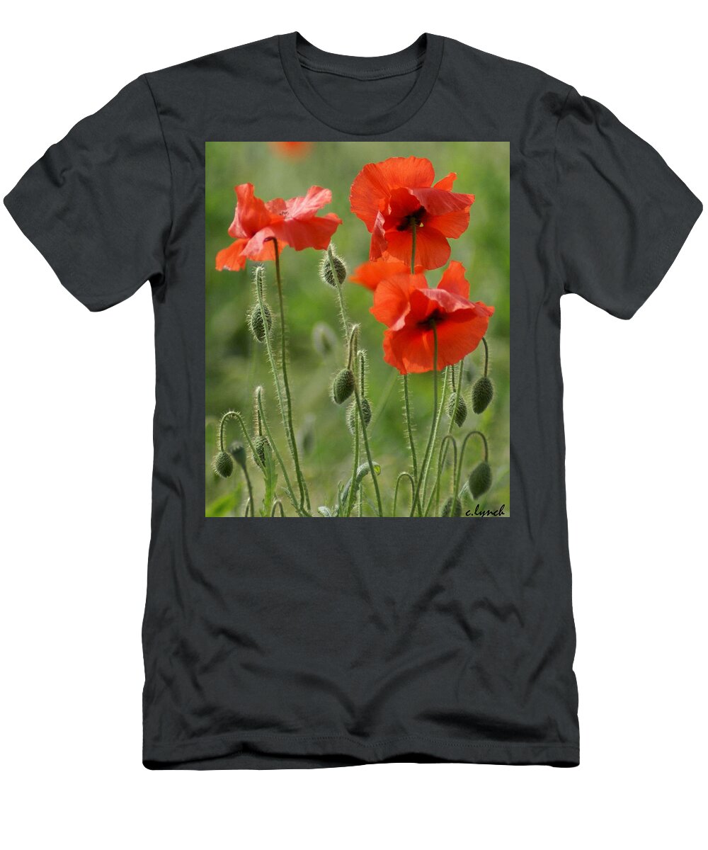 Poppies T-Shirt featuring the photograph Poppies 2 by Carol Lynch