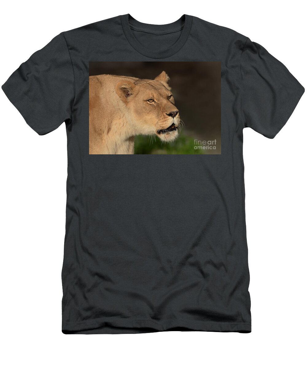 Lion T-Shirt featuring the photograph Portrait of a Lioness by Jim Fitzpatrick