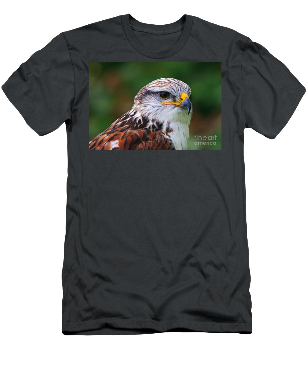 Buteo Regalis T-Shirt featuring the photograph Portrait of the Ferruginous Hawk by Nick Biemans