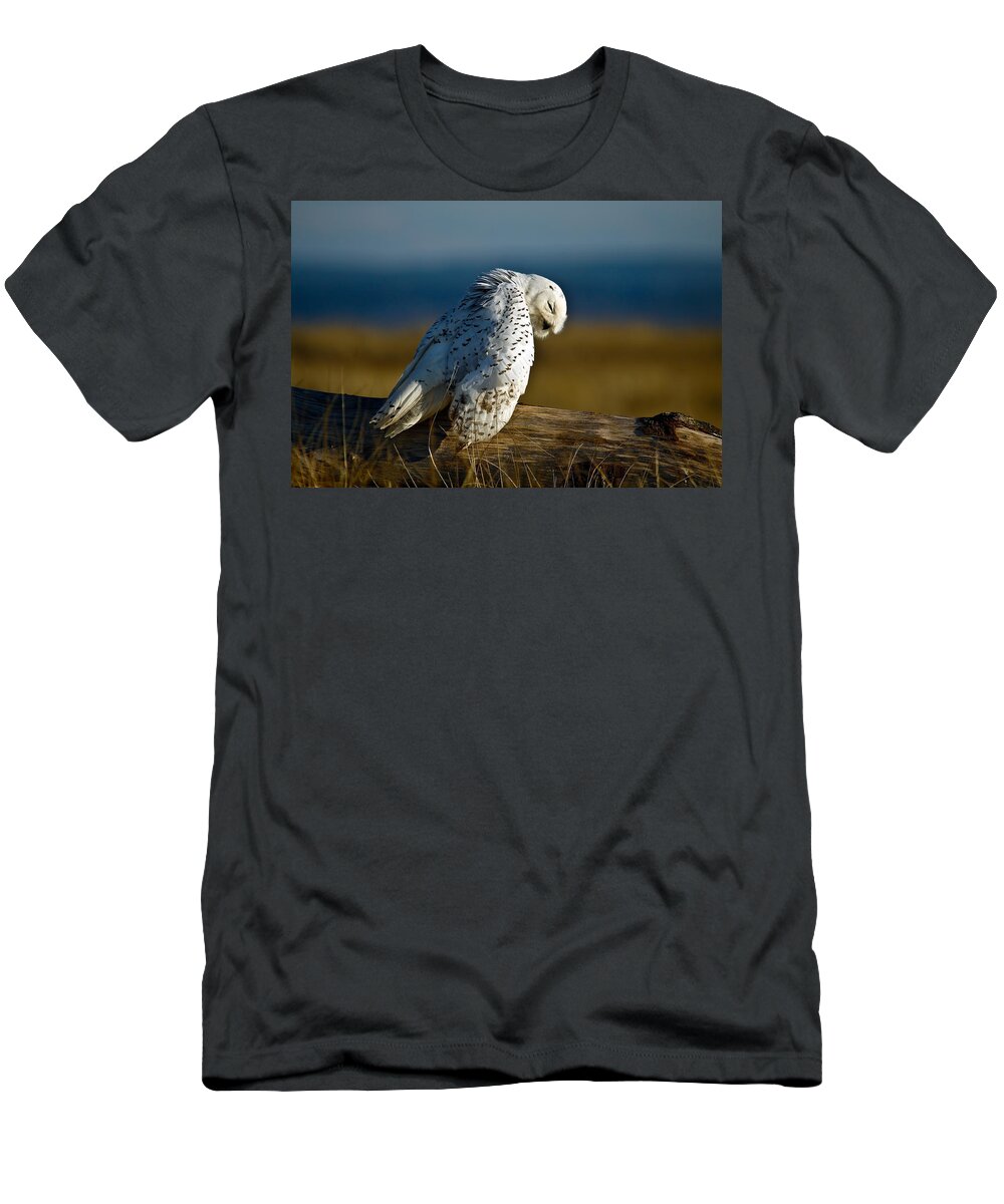 Snowy Owl T-Shirt featuring the photograph Pray by Steve McKinzie