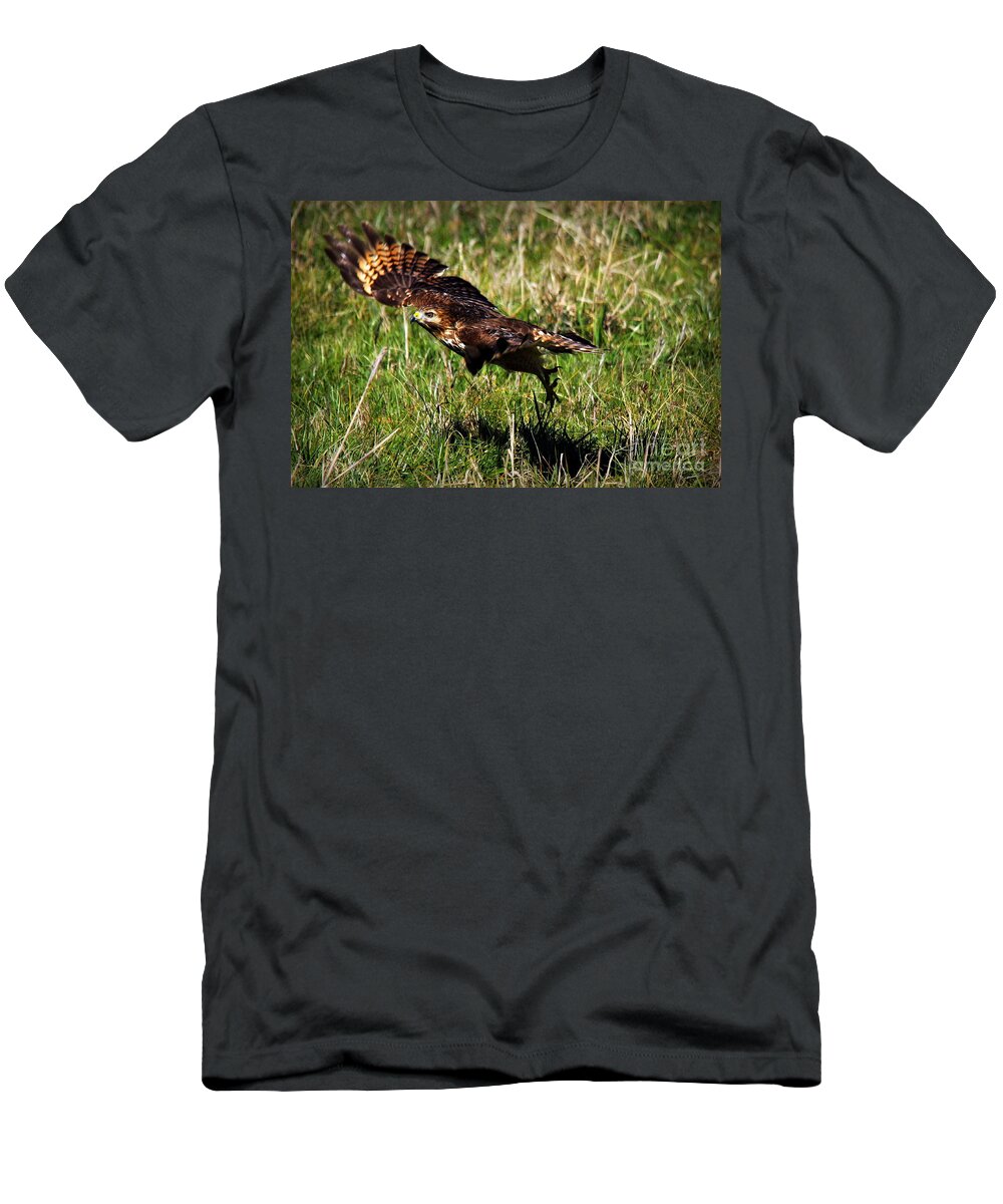 Reid Callaway Red-shouldered Hawk T-Shirt featuring the photograph Predator Ground Take Off Red Shouldered Hawk by Reid Callaway