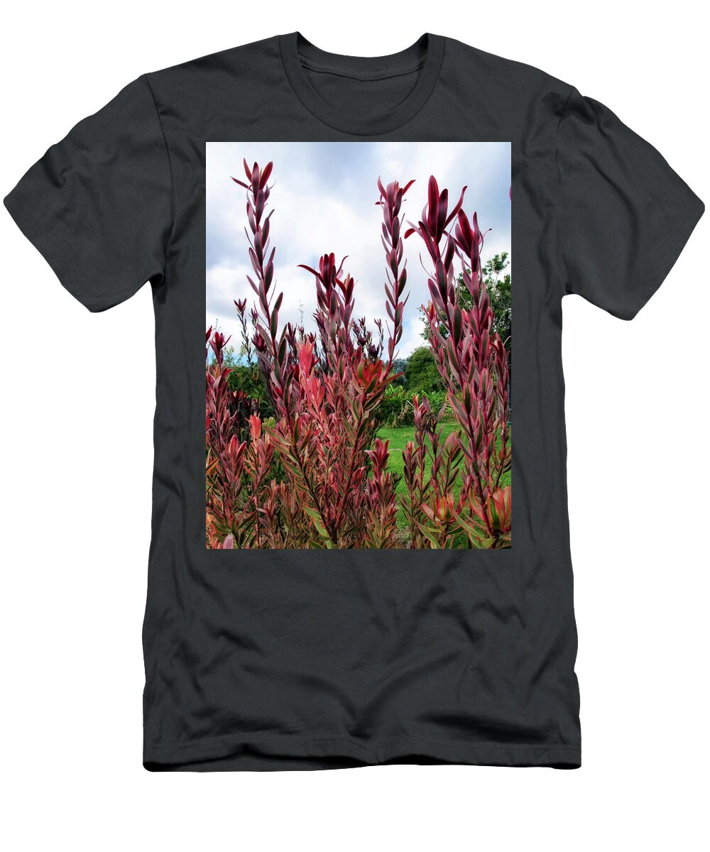 Red T-Shirt featuring the photograph Protea 3 by Dawn Eshelman