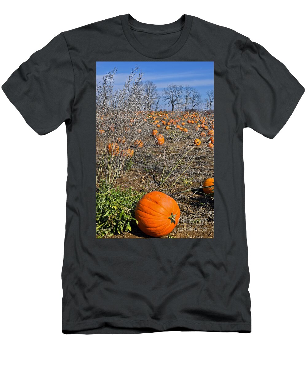 Field T-Shirt featuring the photograph Pumpkin field by PatriZio M Busnel