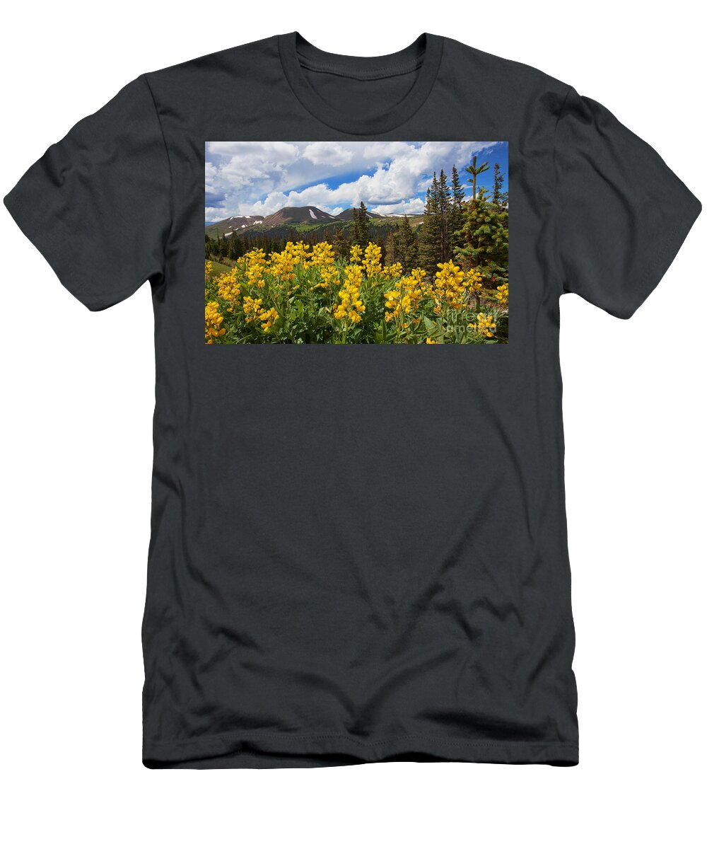 Flowers T-Shirt featuring the photograph Pure Gold by Jim Garrison