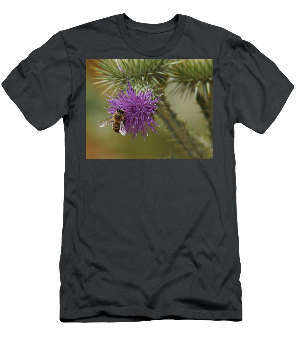 Thistle T-Shirt featuring the photograph Purple Glory 2 by Ernest Echols