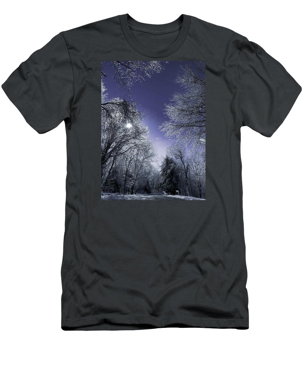 Winter T-Shirt featuring the photograph Purple Haze by Dani McEvoy