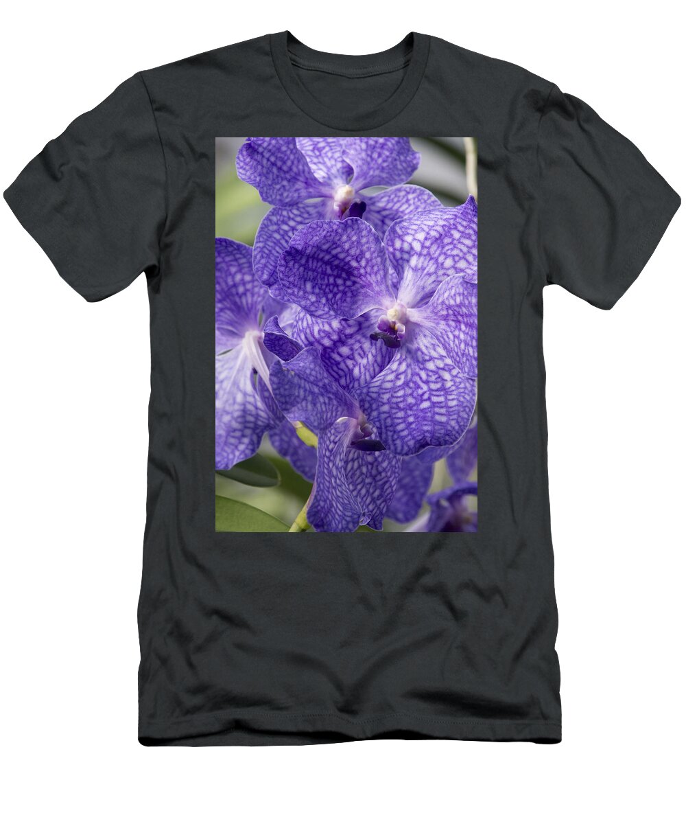 Orchids T-Shirt featuring the photograph Purple orchids by Elena Perelman