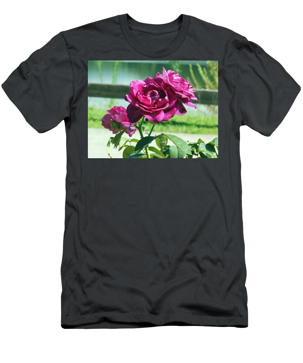 Roses T-Shirt featuring the photograph Purple Rose by M Three Photos