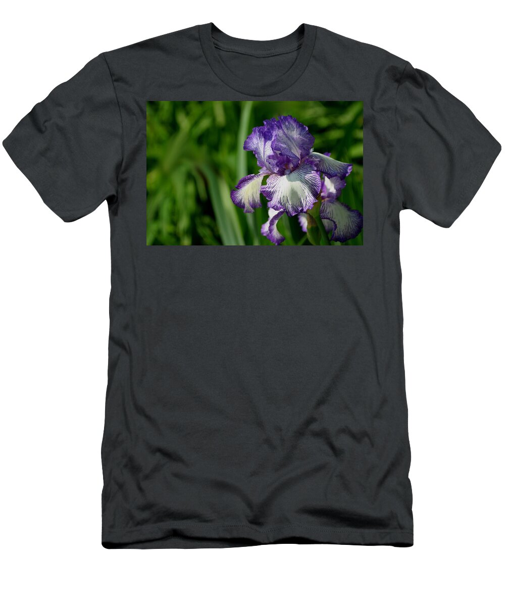 Iris T-Shirt featuring the photograph Purple Splash by Living Color Photography Lorraine Lynch