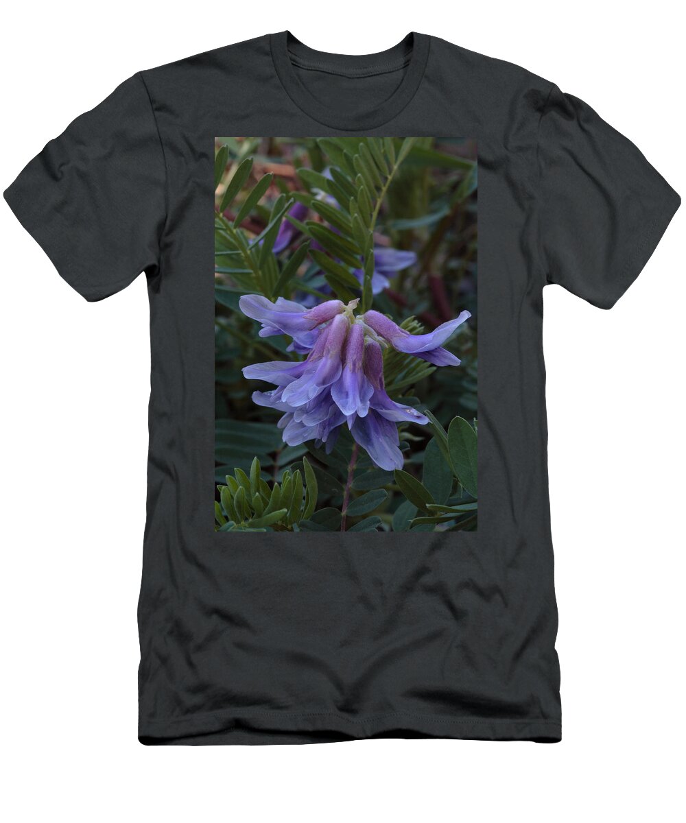 Pyne's Ground Plum T-Shirt featuring the photograph Pyne's Ground Plum Flowers by Daniel Reed