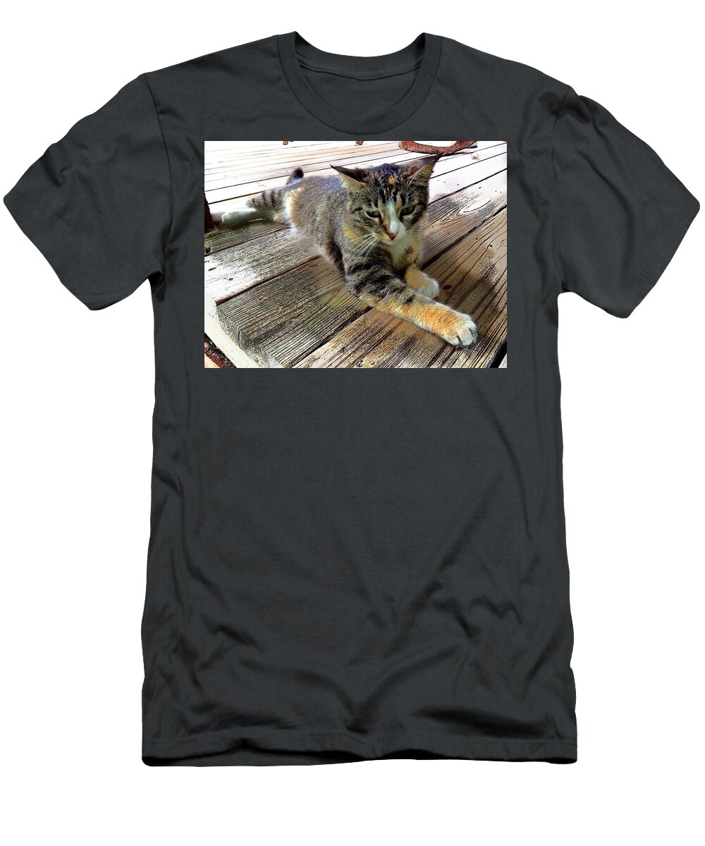 Calico Cat T-Shirt featuring the photograph Queenie by John Duplantis