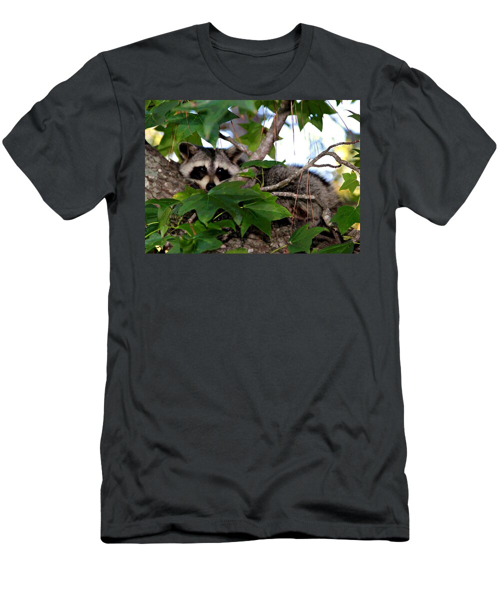  T-Shirt featuring the photograph Raccoon Eyes by Matalyn Gardner