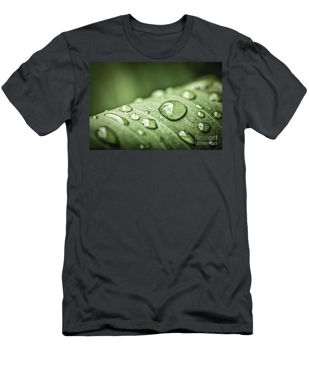 Plant T-Shirt featuring the photograph Rain drops on green leaf by Elena Elisseeva