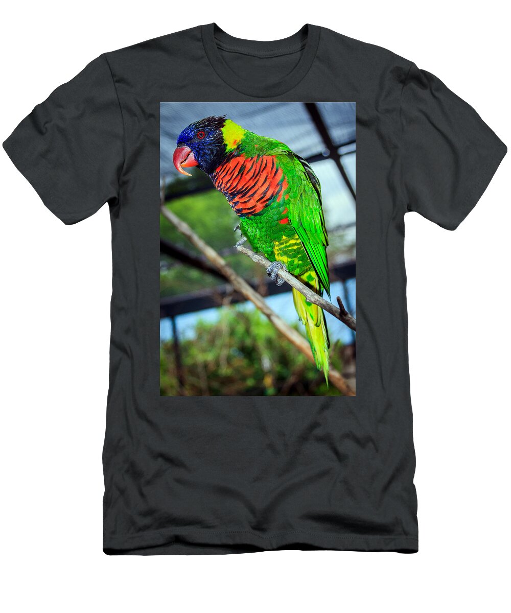 Rainbow Lory T-Shirt featuring the photograph Rainbow Lory by Sennie Pierson