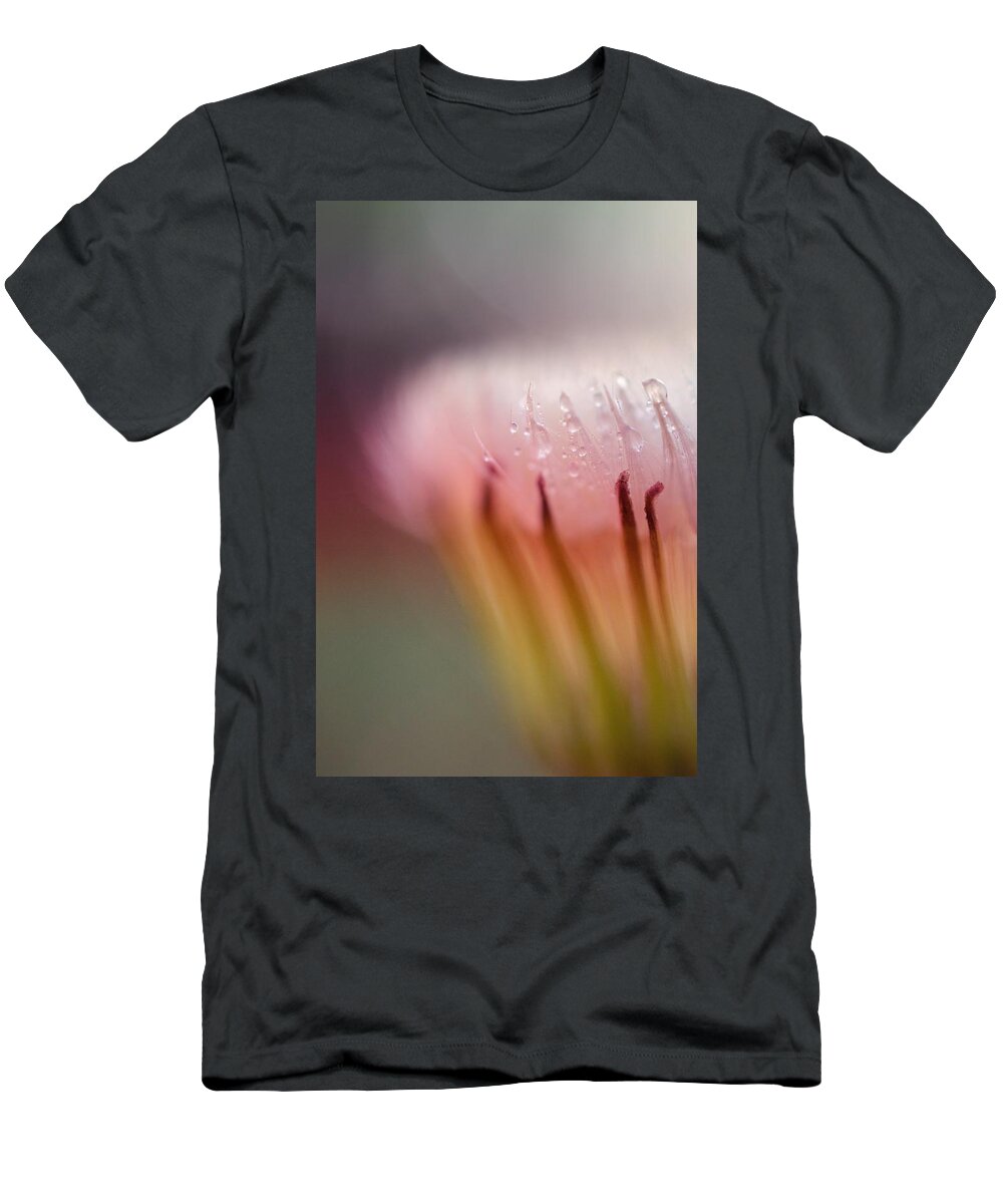Raindrops T-Shirt featuring the photograph Raindrops on Dandelion Flower by Marianna Mills