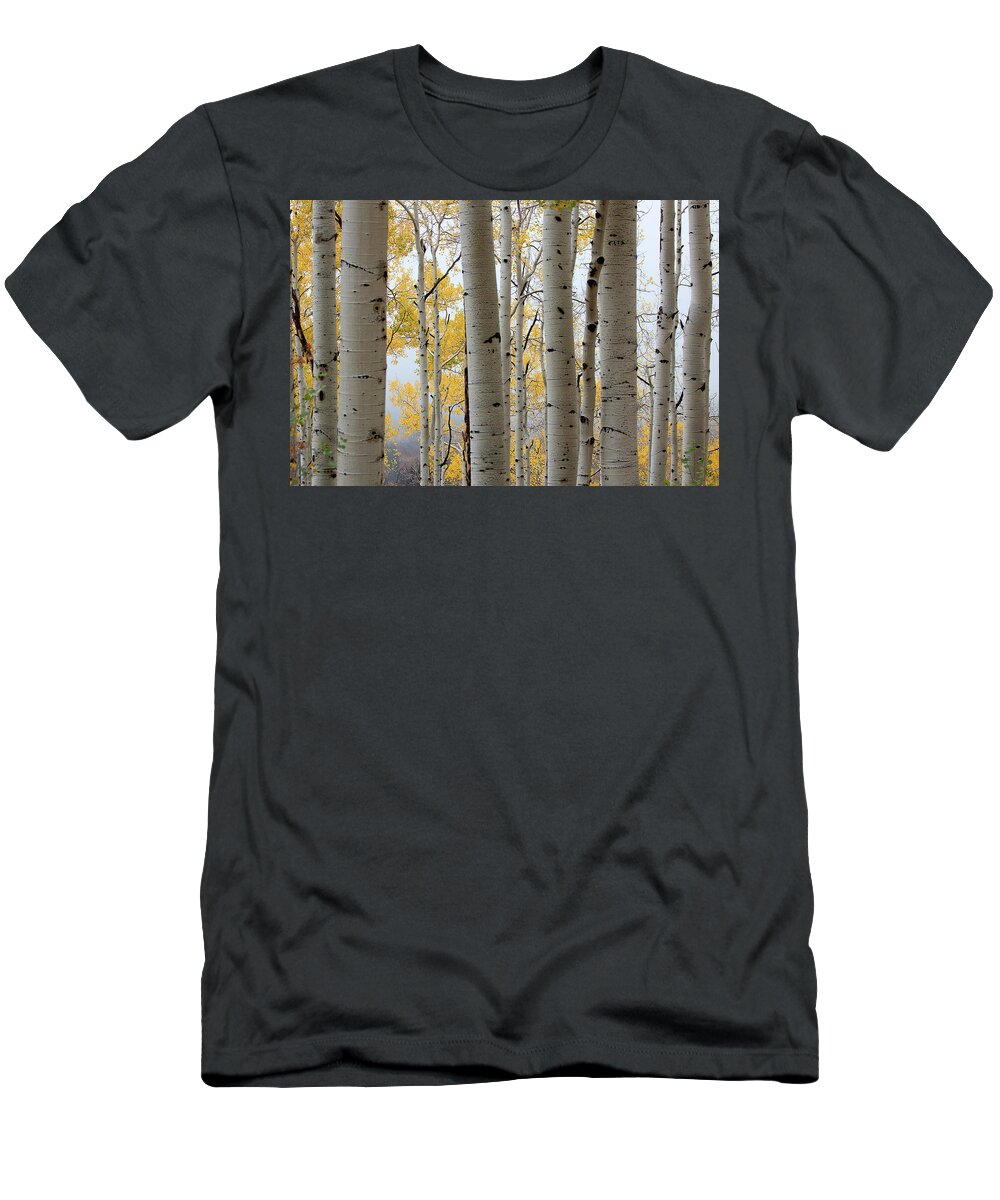 Autumn Colors T-Shirt featuring the photograph Rainy Day Aspen by Jim Garrison