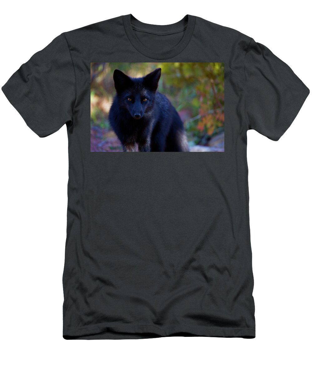 Fox T-Shirt featuring the photograph Reading the Menu by Jim Garrison