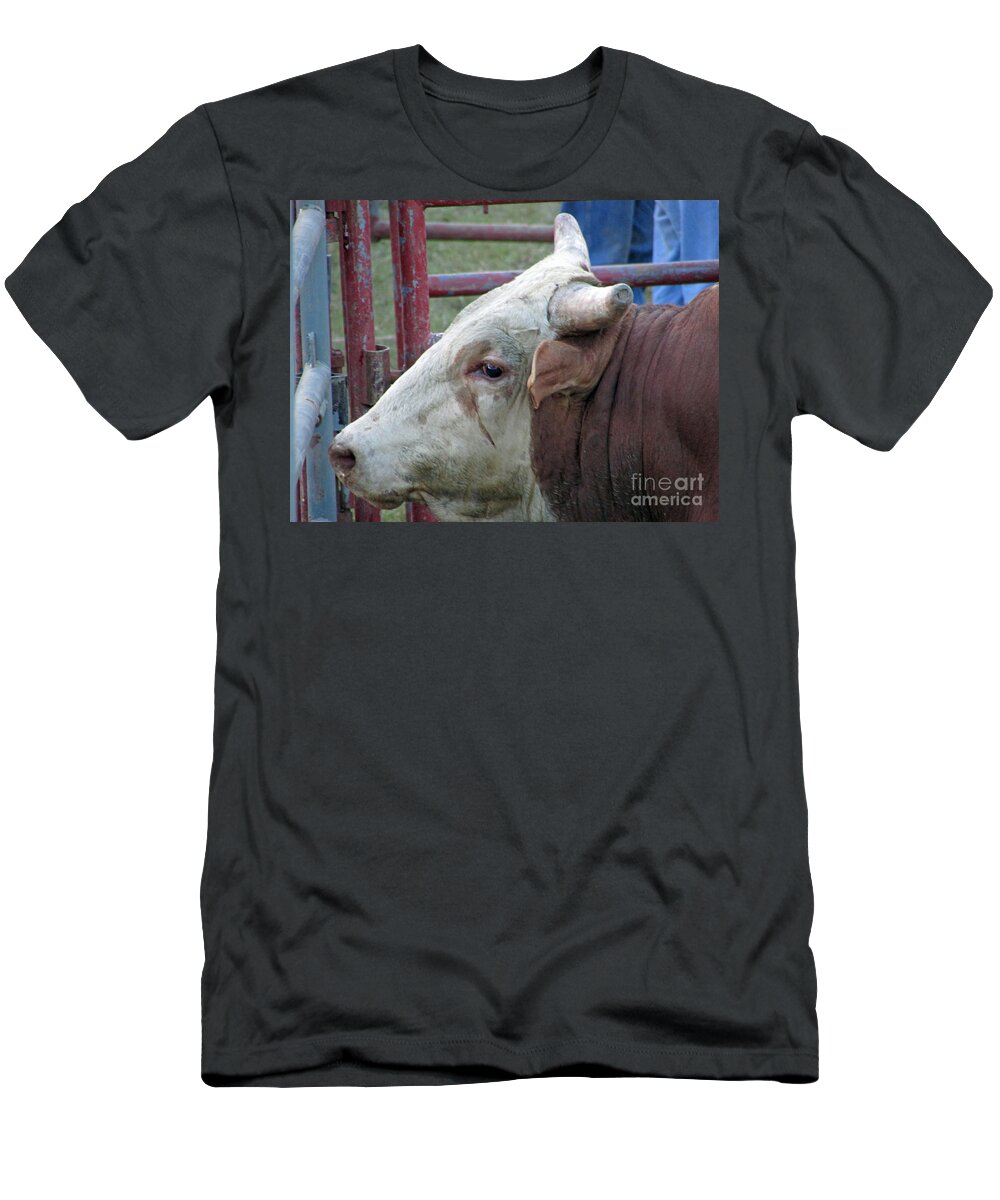 Carnival T-Shirt featuring the photograph Ready To Ride by Jamie Smith
