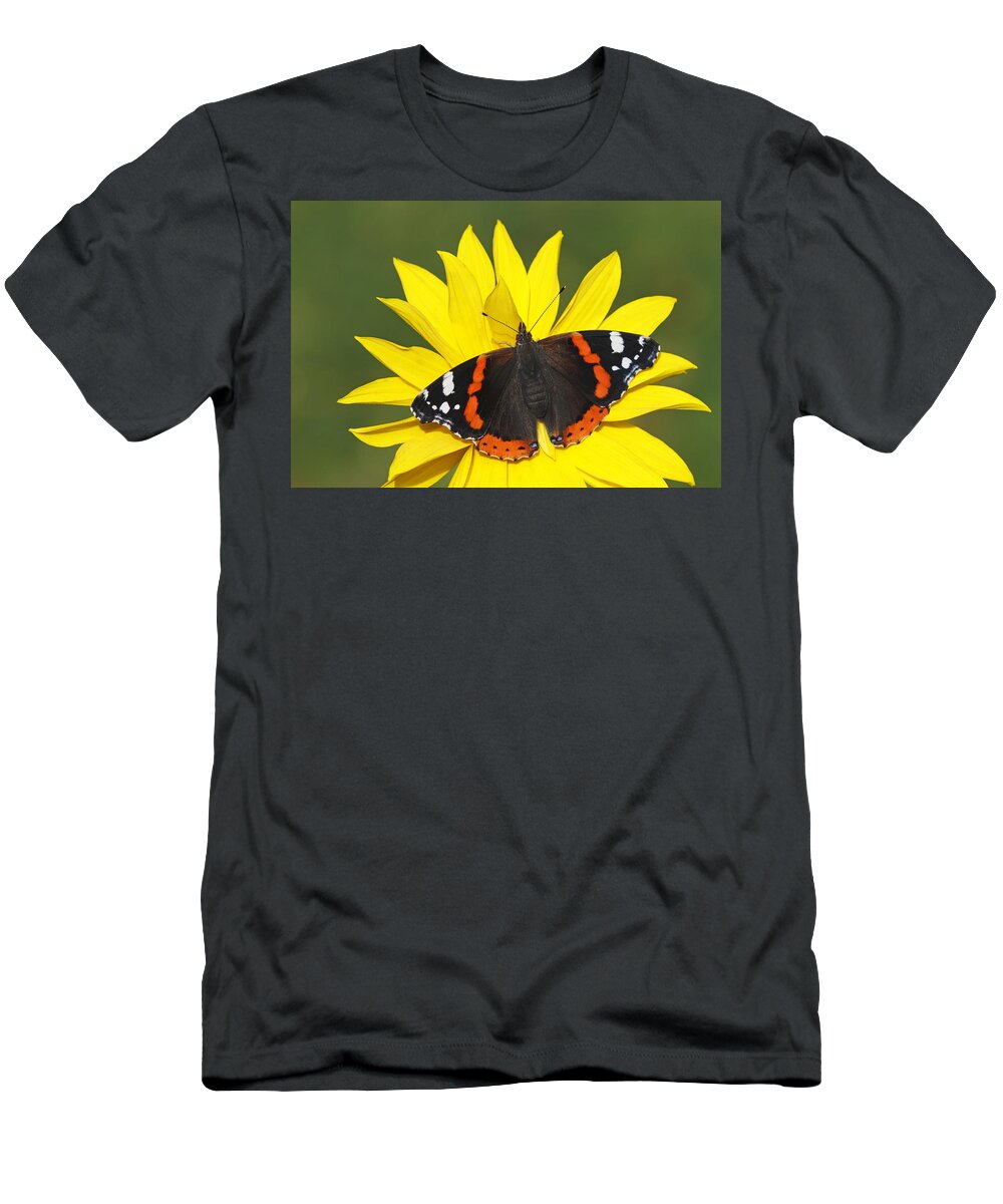 Silvia Reiche T-Shirt featuring the photograph Red Admiral Butterfly Netherlands by Silvia Reiche