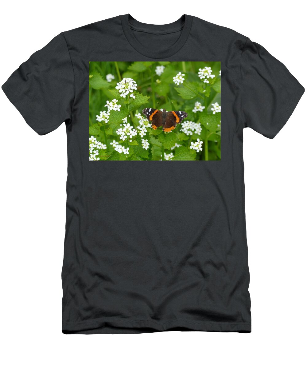 Insect T-Shirt featuring the photograph Red Admirals by Lingfai Leung