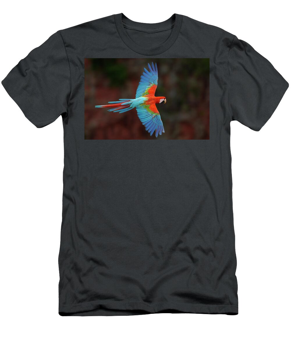 00217503 T-Shirt featuring the photograph Red And Green Macaw Flying by Pete Oxford