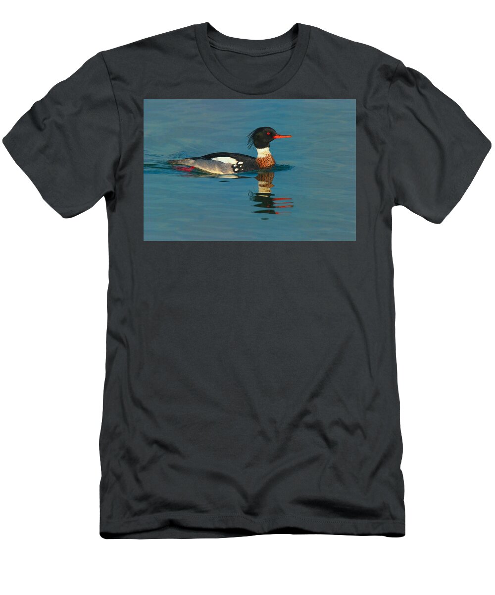 Red-breasted Merganser T-Shirt featuring the photograph Red-breasted Merganser Huntington Beach California by Ram Vasudev