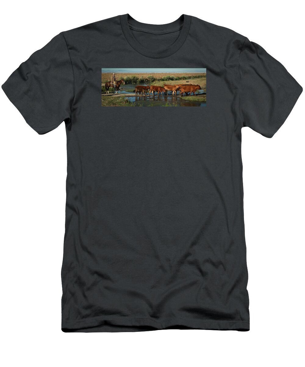 Cattle T-Shirt featuring the photograph Red Cattle by Diane Bohna