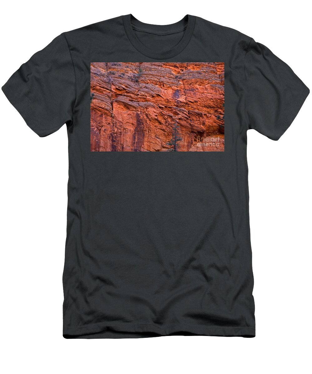 Autumn T-Shirt featuring the photograph Red Cliff by Fred Stearns