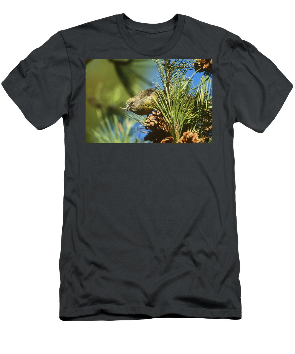 Animal T-Shirt featuring the photograph Red Crossbill Eating Cone Seeds by Paul J. Fusco