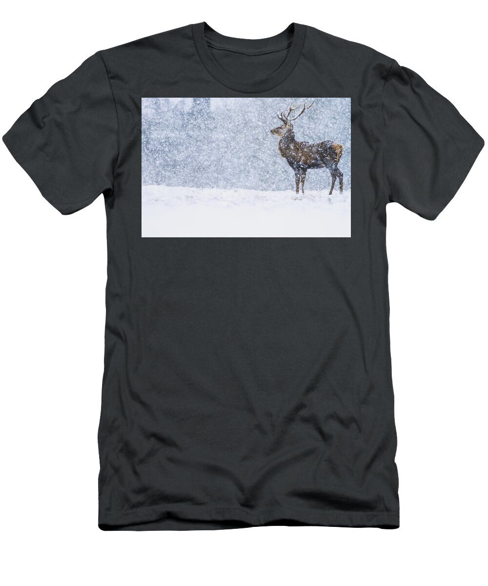 Nis T-Shirt featuring the photograph Red Deer Stag In Snowfall Derbyshire Uk by James Shooter