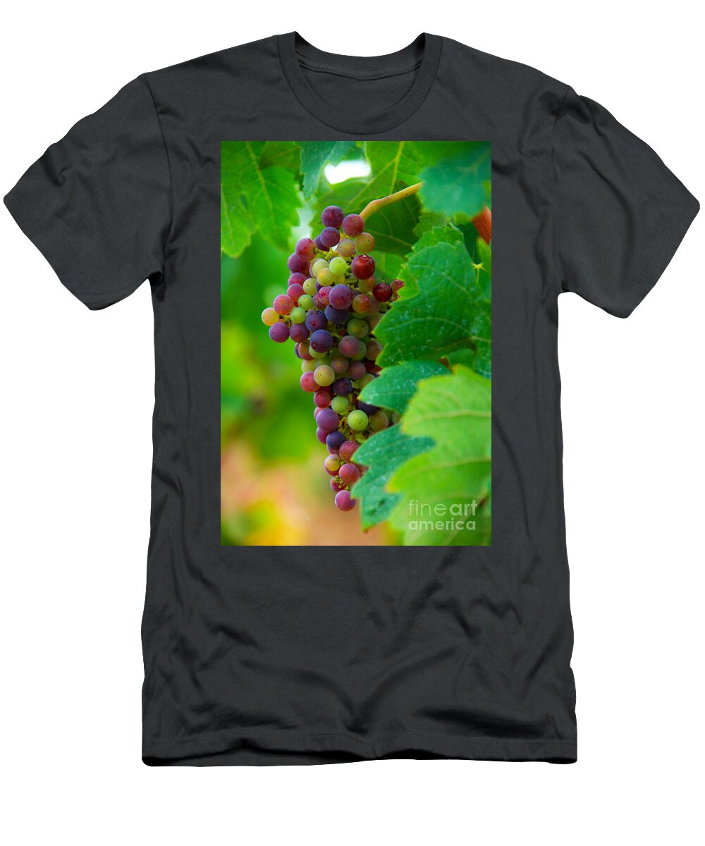 Bordeaux T-Shirt featuring the photograph Red Grapes by Hannes Cmarits