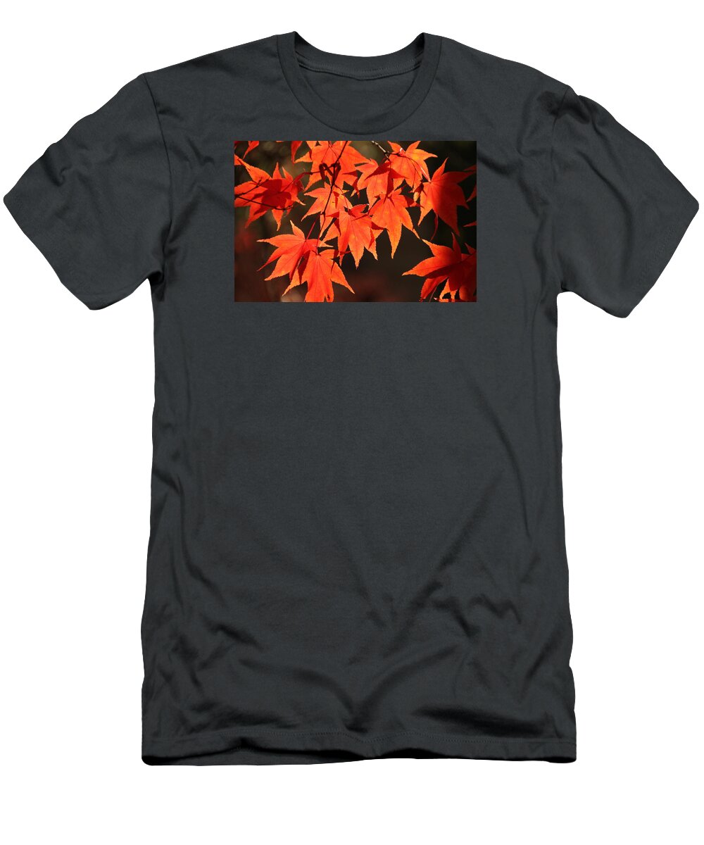 Japanese Maple Tree T-Shirt featuring the photograph Japanese Maple Leaves in Fall by Valerie Collins