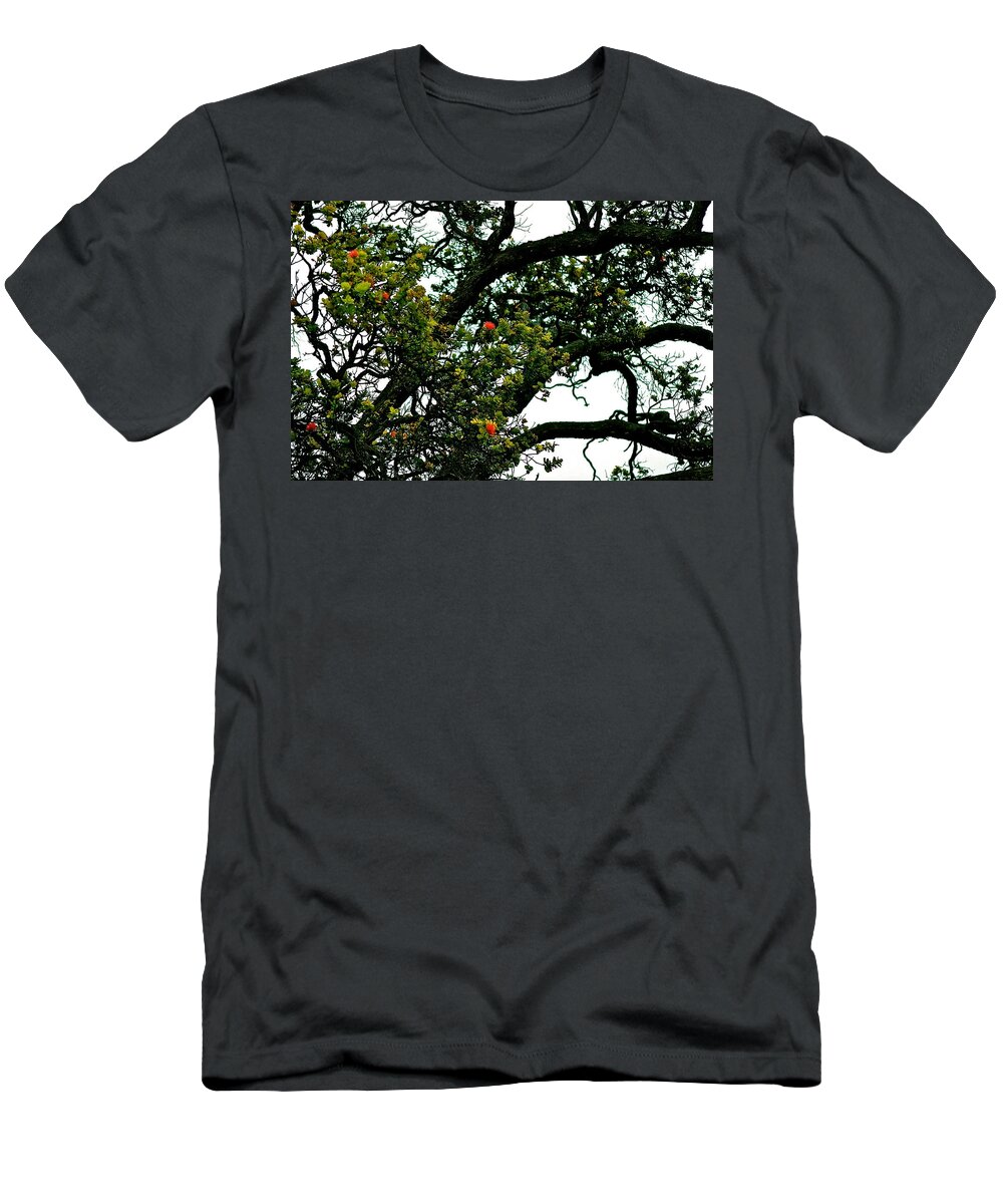 Hawaii T-Shirt featuring the photograph Red Ohia Lehua Tree by Lehua Pekelo-Stearns