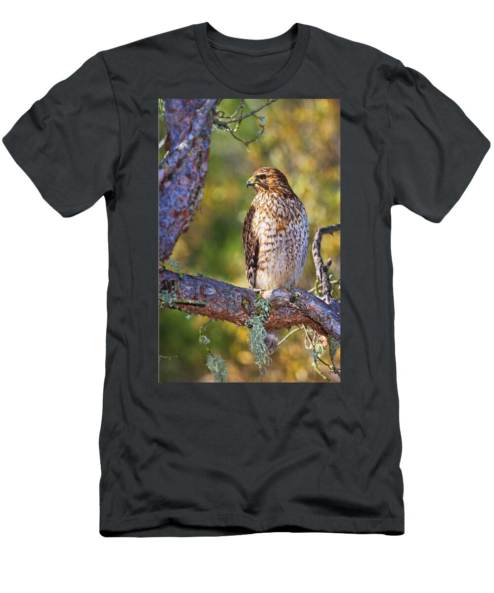 Red Shouldered Hawk T-Shirt featuring the photograph Red Shouldered Hawk by Beth Sargent