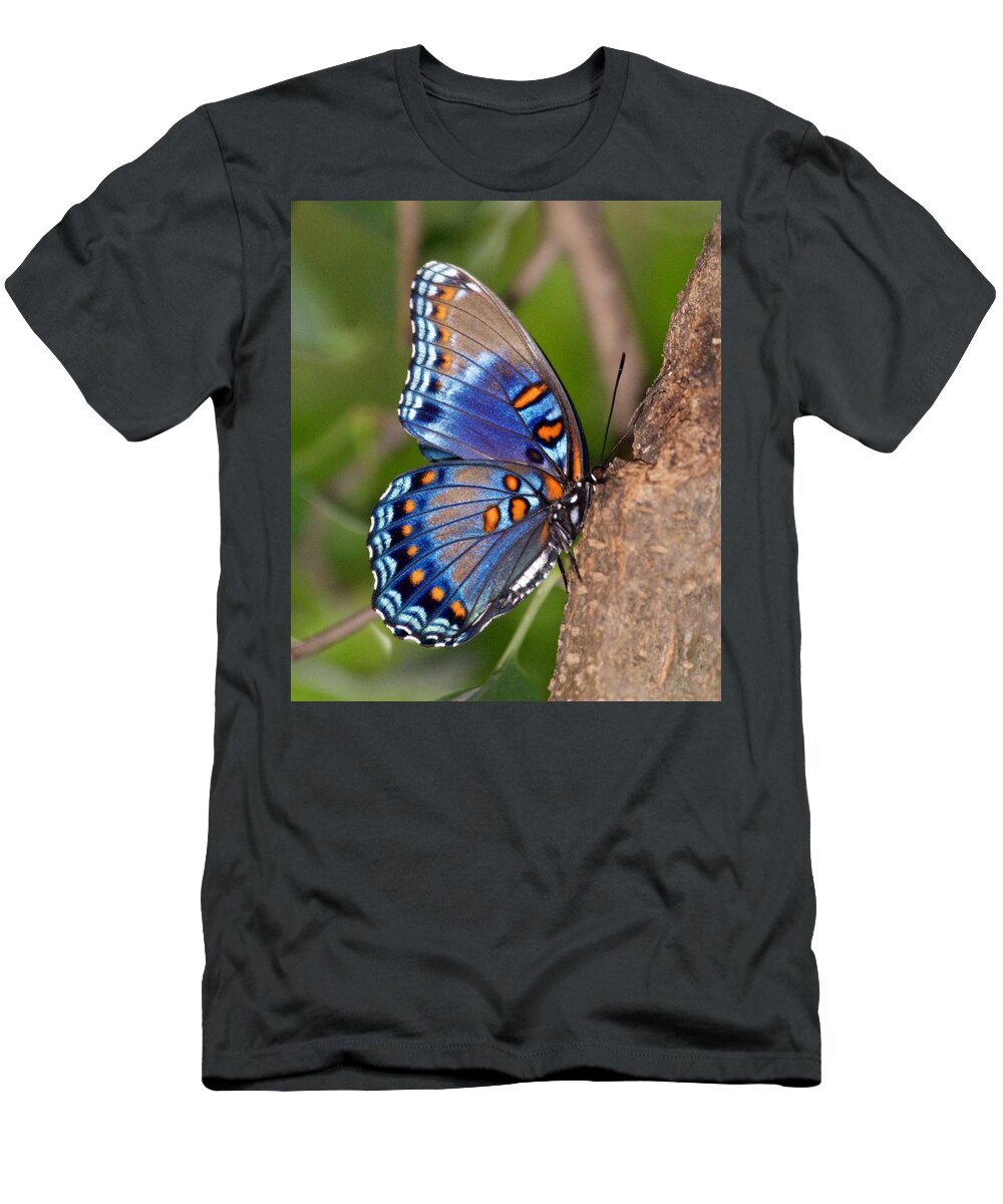 Butterfly T-Shirt featuring the photograph Red Spotted Purple Butterfly by Sandy Keeton