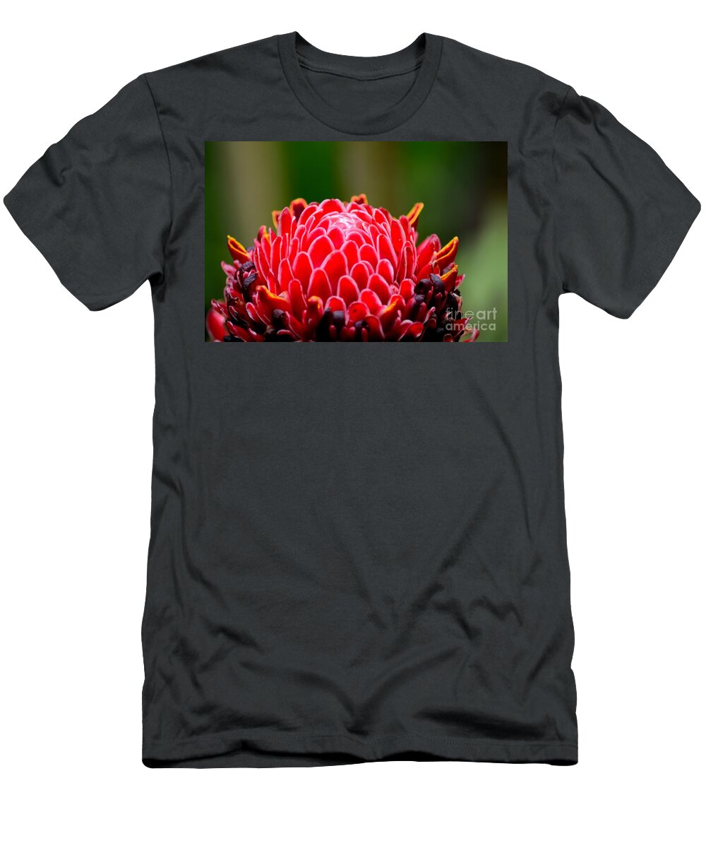 Ginger T-Shirt featuring the photograph Red Torch Ginger Flower head from tropics Singapore by Imran Ahmed