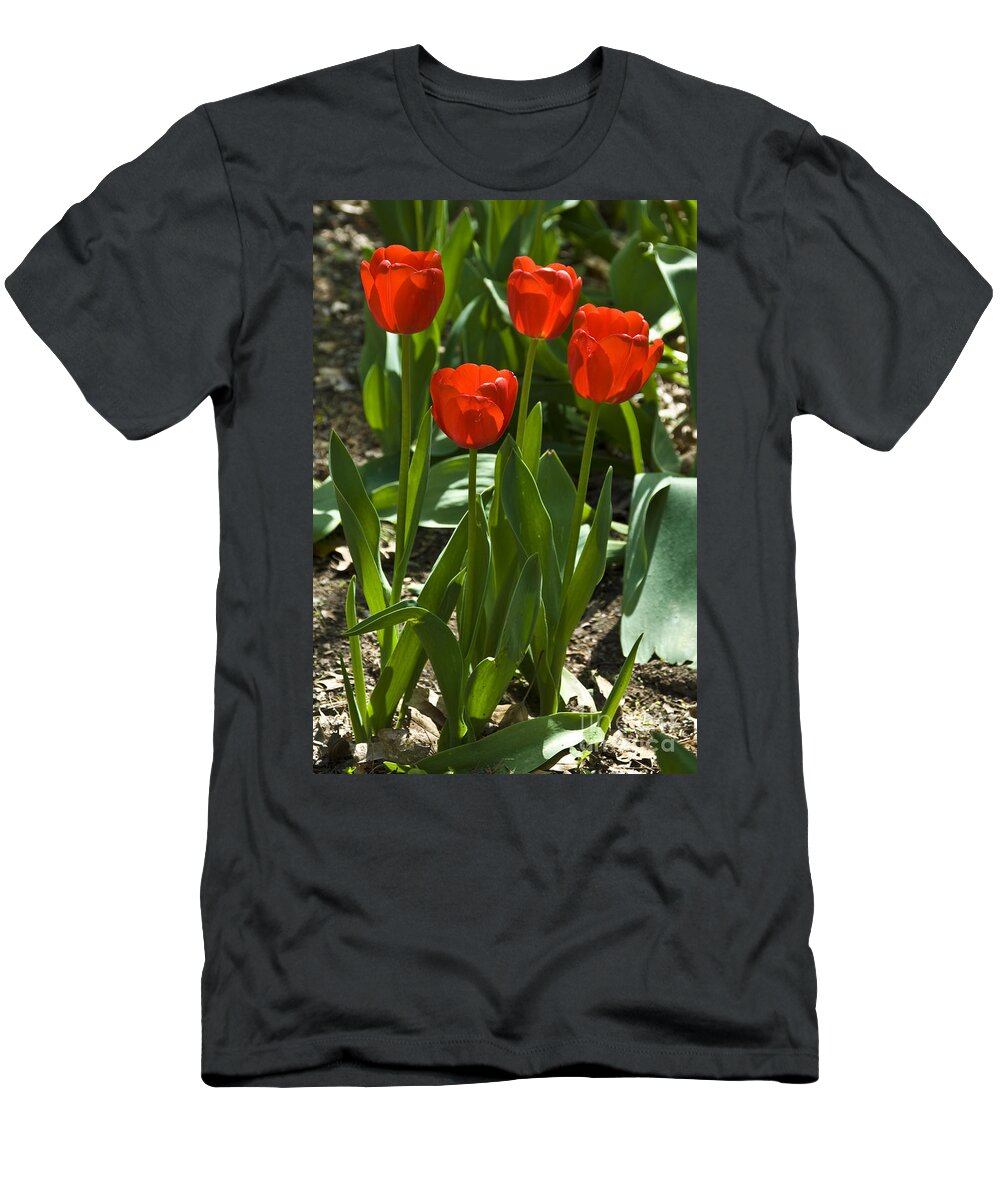 Flower T-Shirt featuring the photograph Red Tulips by Anthony Sacco