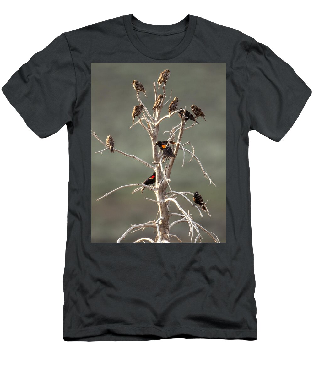 Bird T-Shirt featuring the photograph Red Wing Gathering by Kevin Dietrich