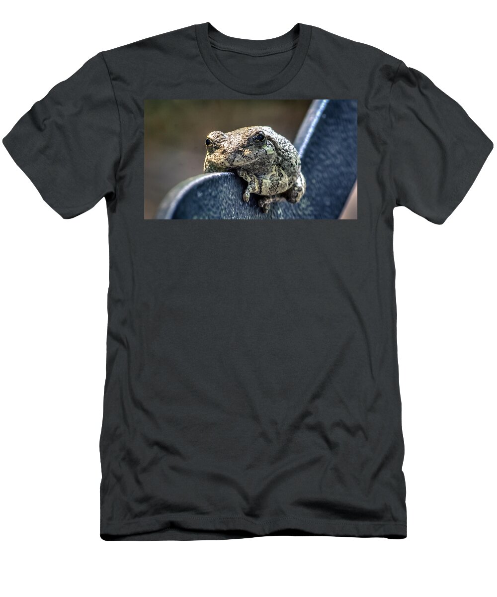 American T-Shirt featuring the photograph Relaxing by Traveler's Pics