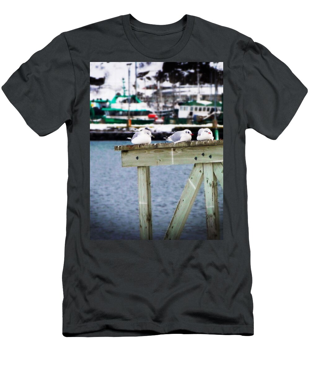 Pier 17 T-Shirt featuring the photograph Resting At Pier 17 by Zinvolle Art