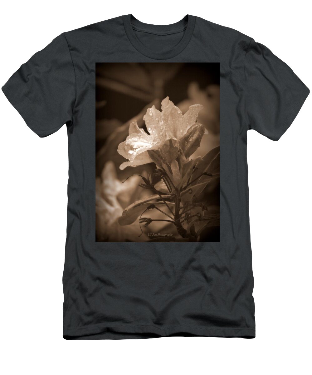 Rhoddie T-Shirt featuring the photograph Rhoddie Portrait Sepia by Jeanette C Landstrom
